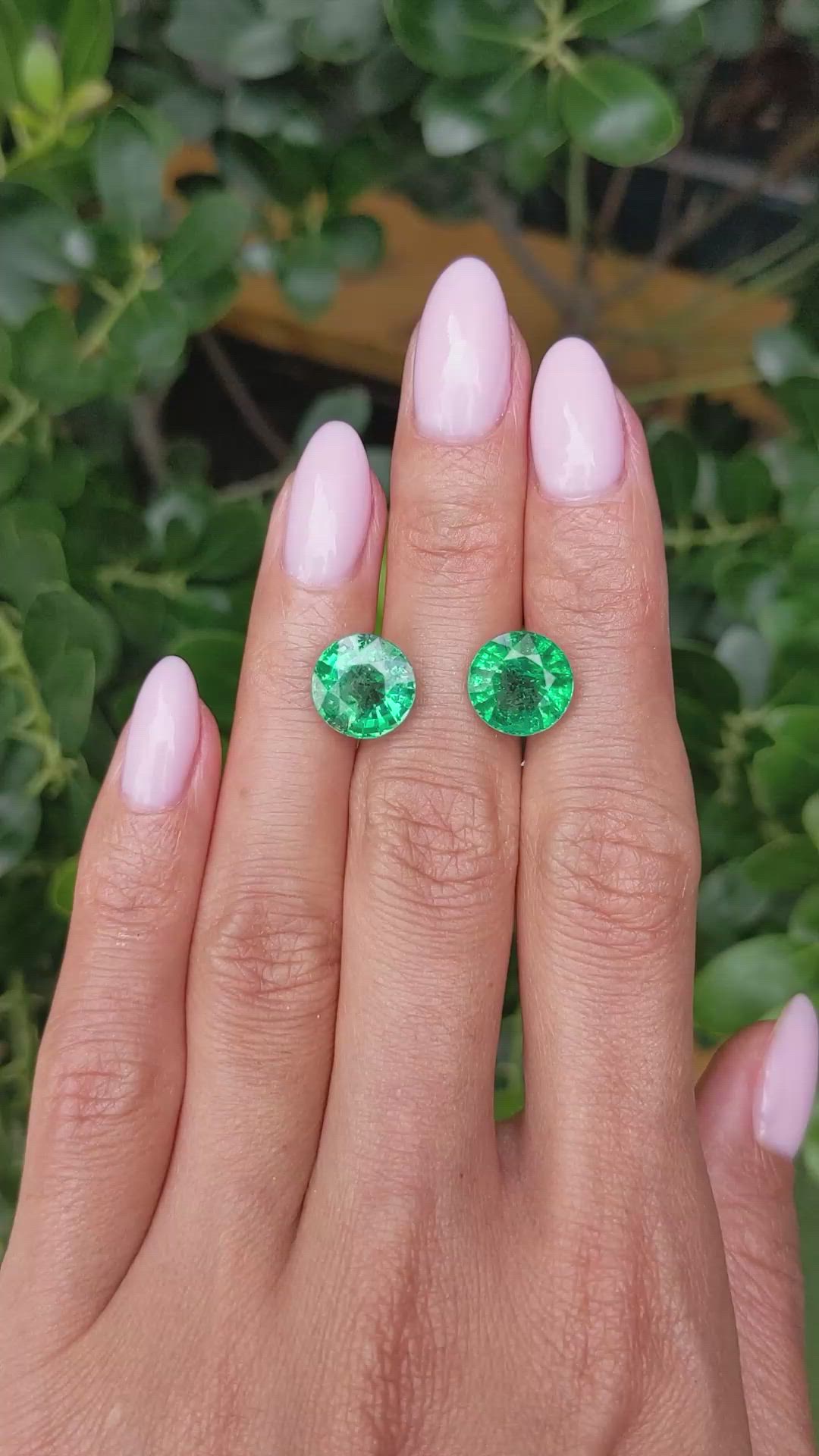 7.89&nbsp;Ct.Tw.Total Carat Weight Emerald Pair from Zambia Size Video