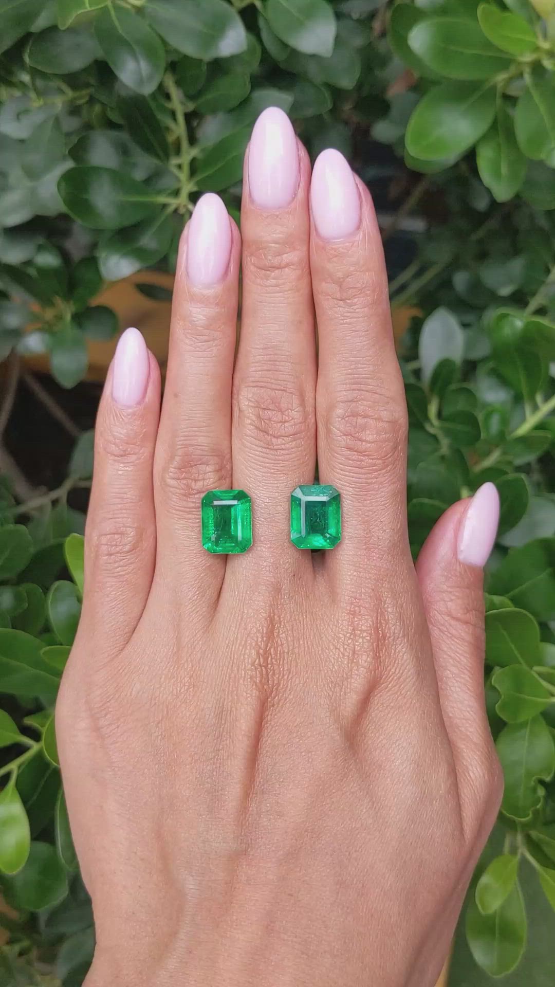 10.75 Ct.Tw.Total Carat Weight Emerald Pair from Zambia Size Video