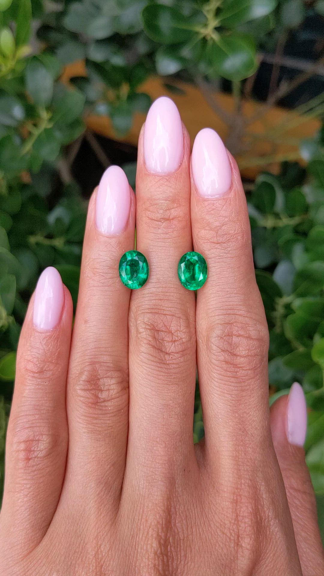3.69 Ct.Tw.Total Carat Weight Emerald Pair from Zambia Size Video