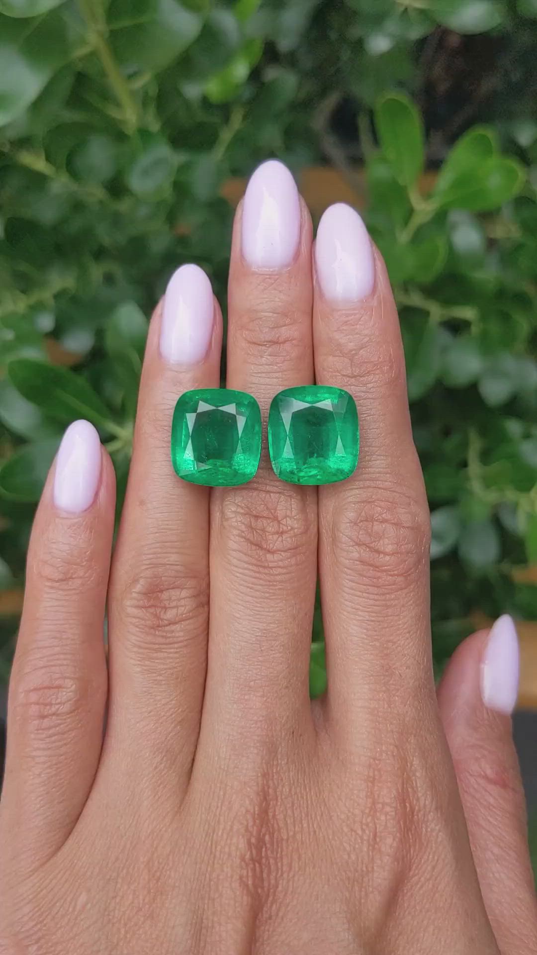 24.28&nbsp;Ct.Tw.Total Carat Weight Emerald Pair from Colombia Size Video