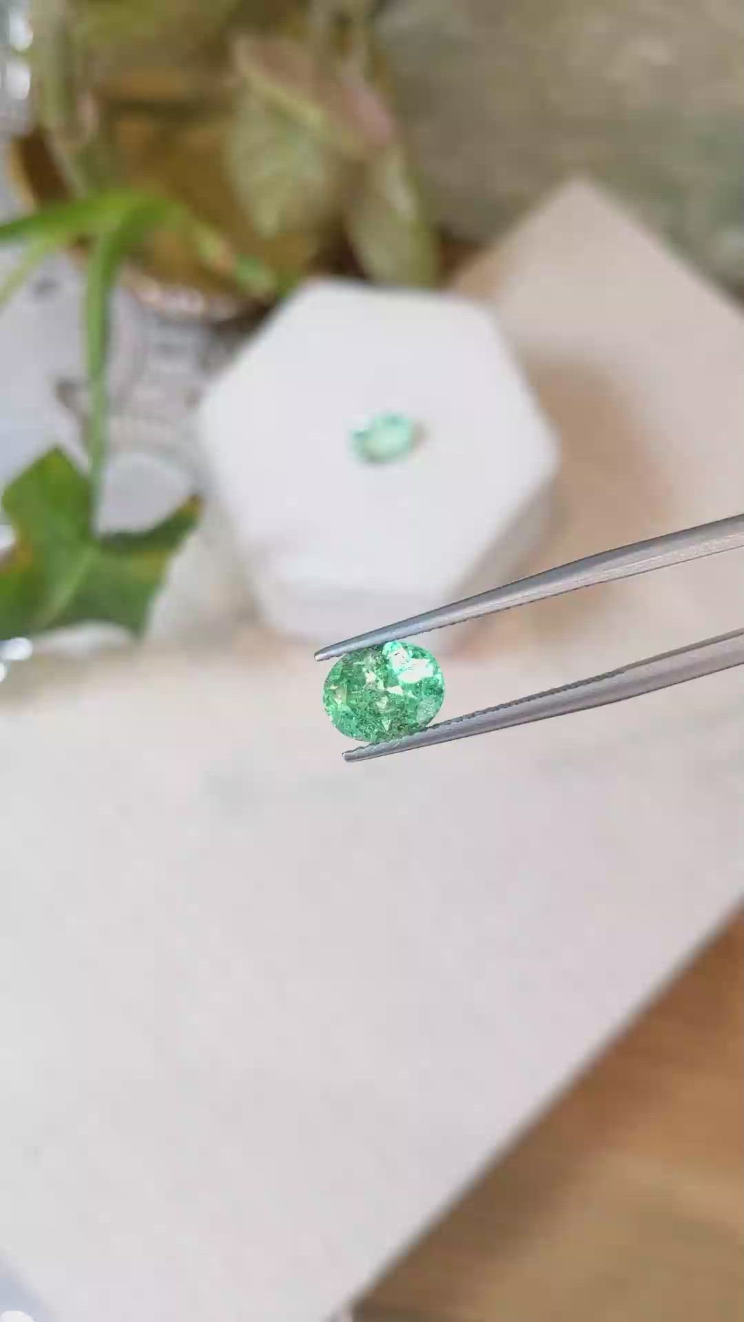 3.46&nbsp;Ct.Tw.Total Carat Weight Emerald Pair from Colombia Size Video