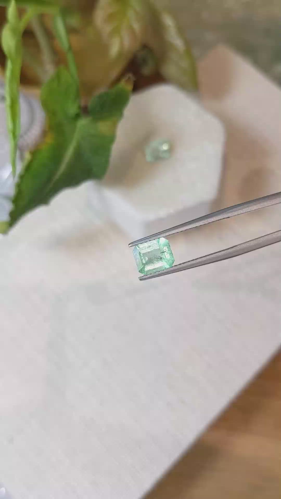 2.71&nbsp;Ct.Tw.Total Carat Weight Emerald Pair from Colombia Size Video