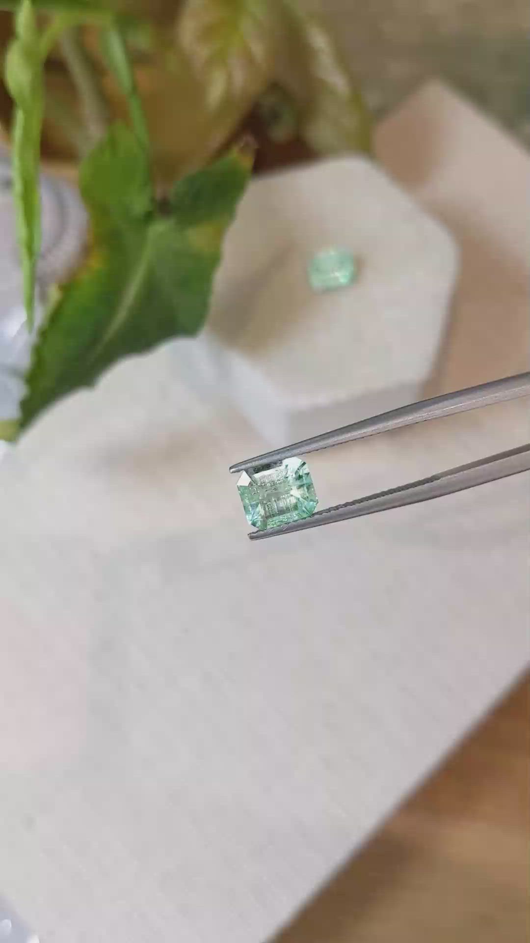 2.71&nbsp;Ct.Tw.Total Carat Weight Emerald Pair from Colombia Size Video