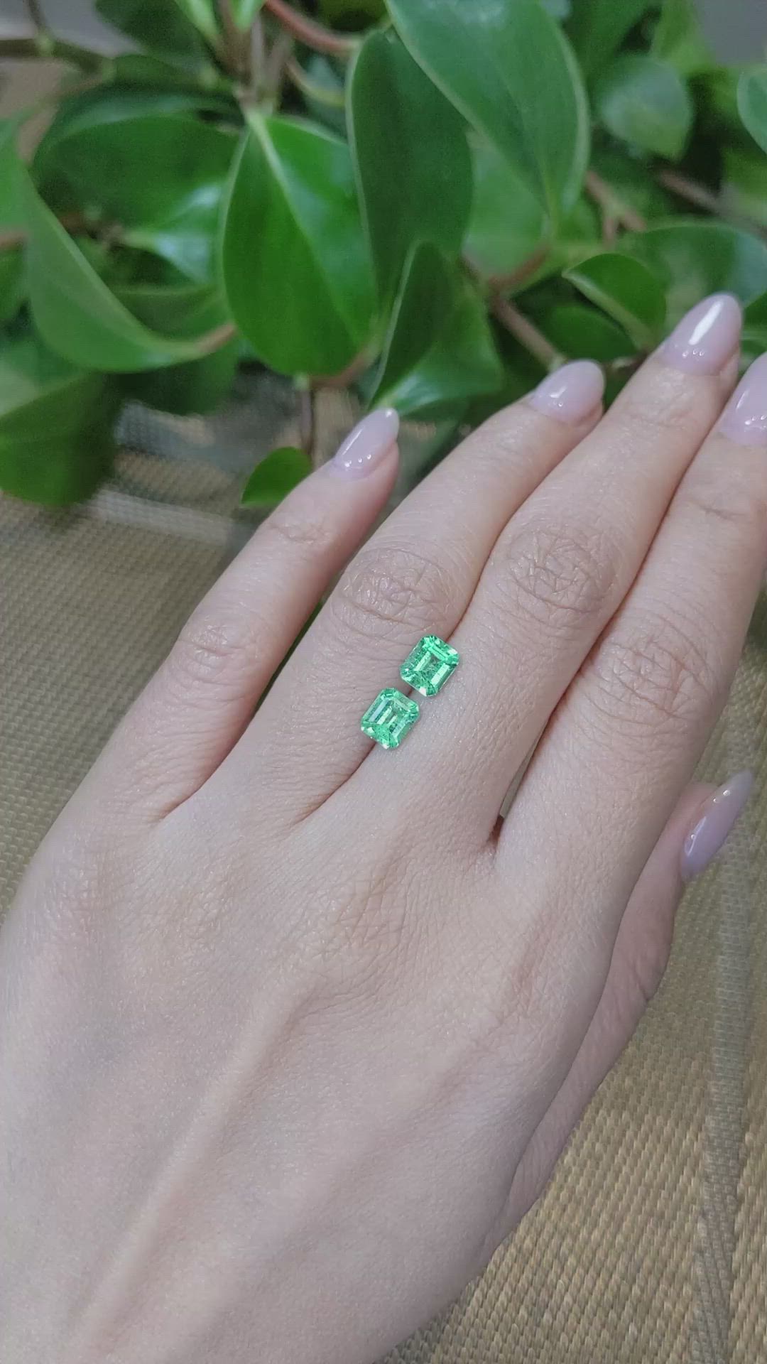 1.45 Ct.Tw.Total Carat Weight Emerald Pair from Colombia Size Video
