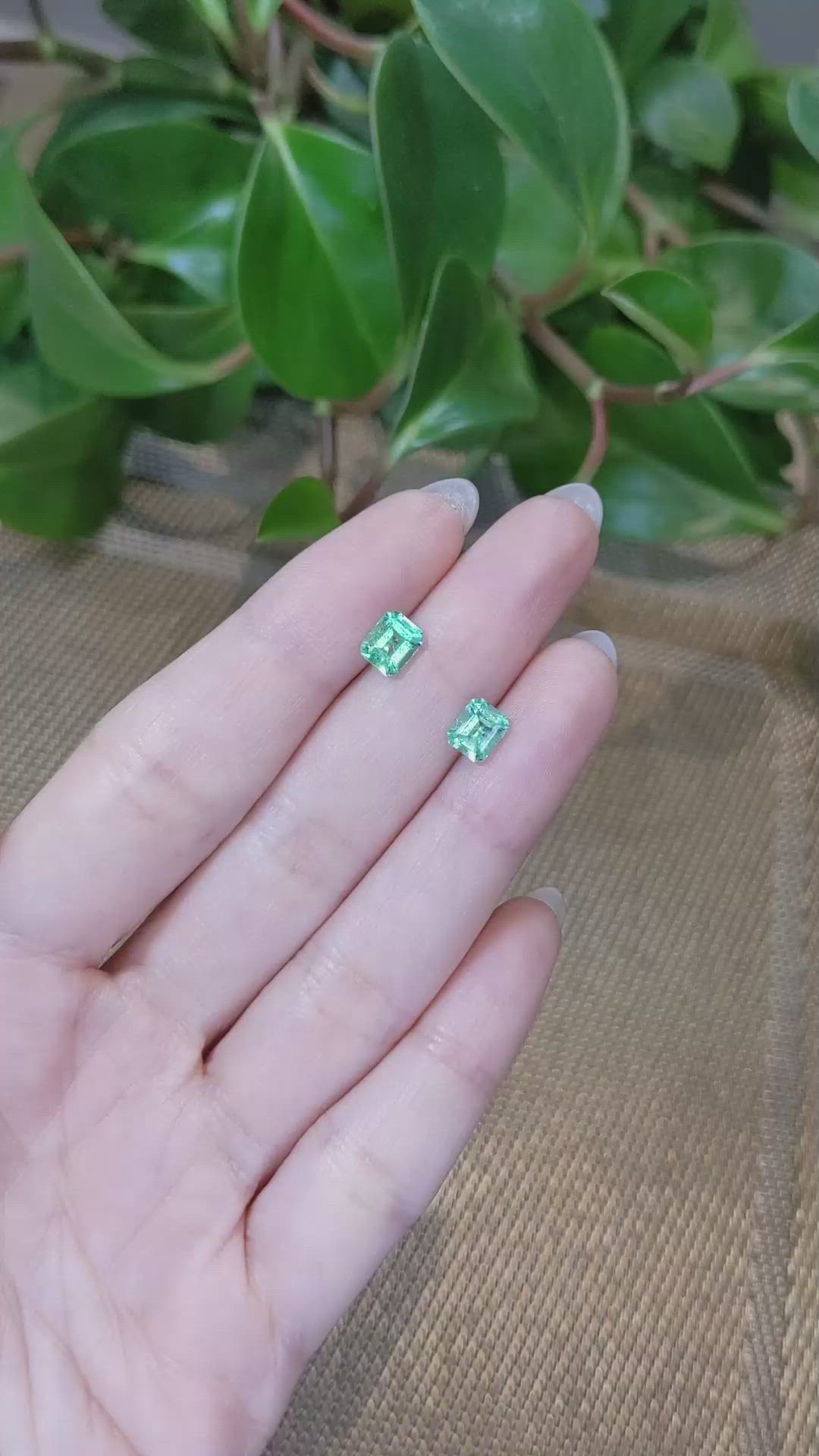 1.45 Ct.Tw.Total Carat Weight Emerald Pair from Colombia Size Video