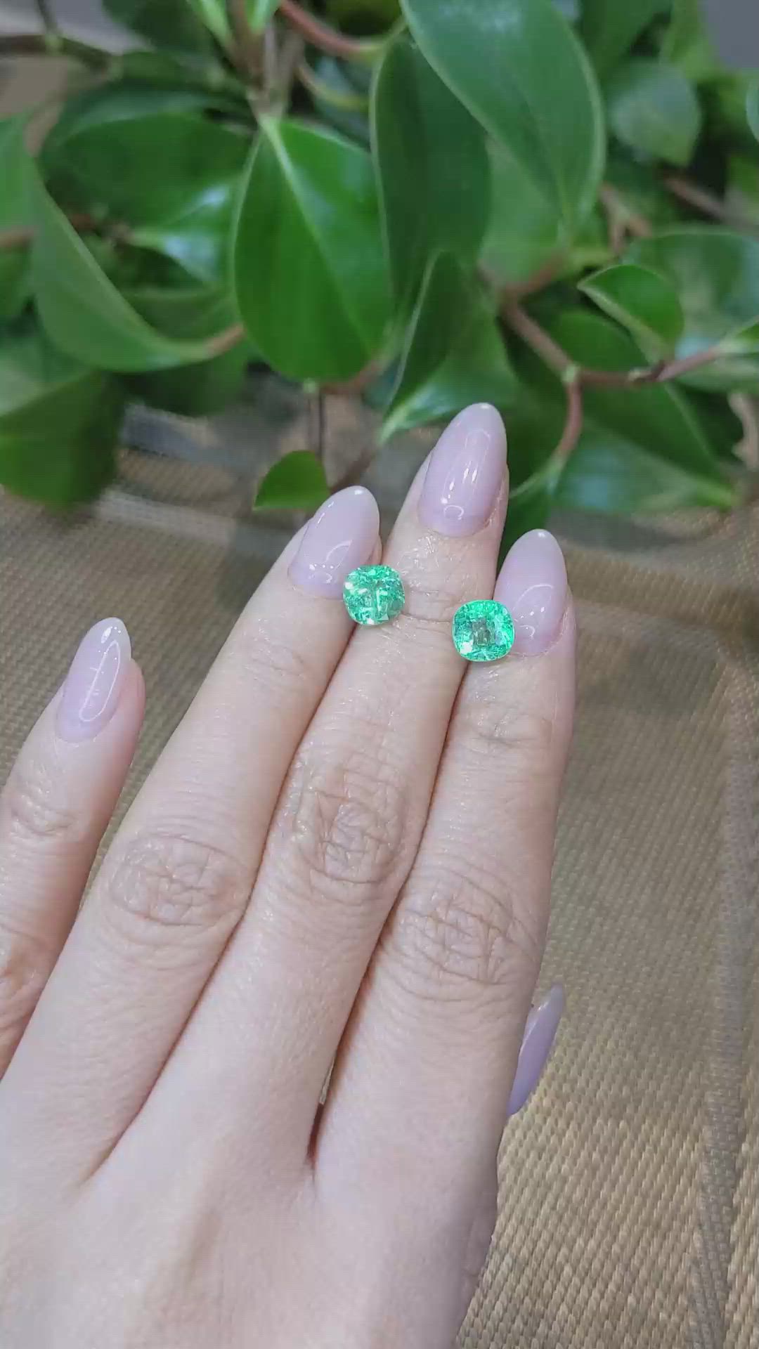 3.07&nbsp;Ct.Tw.Total Carat Weight Emerald Pair from Colombia Size Video