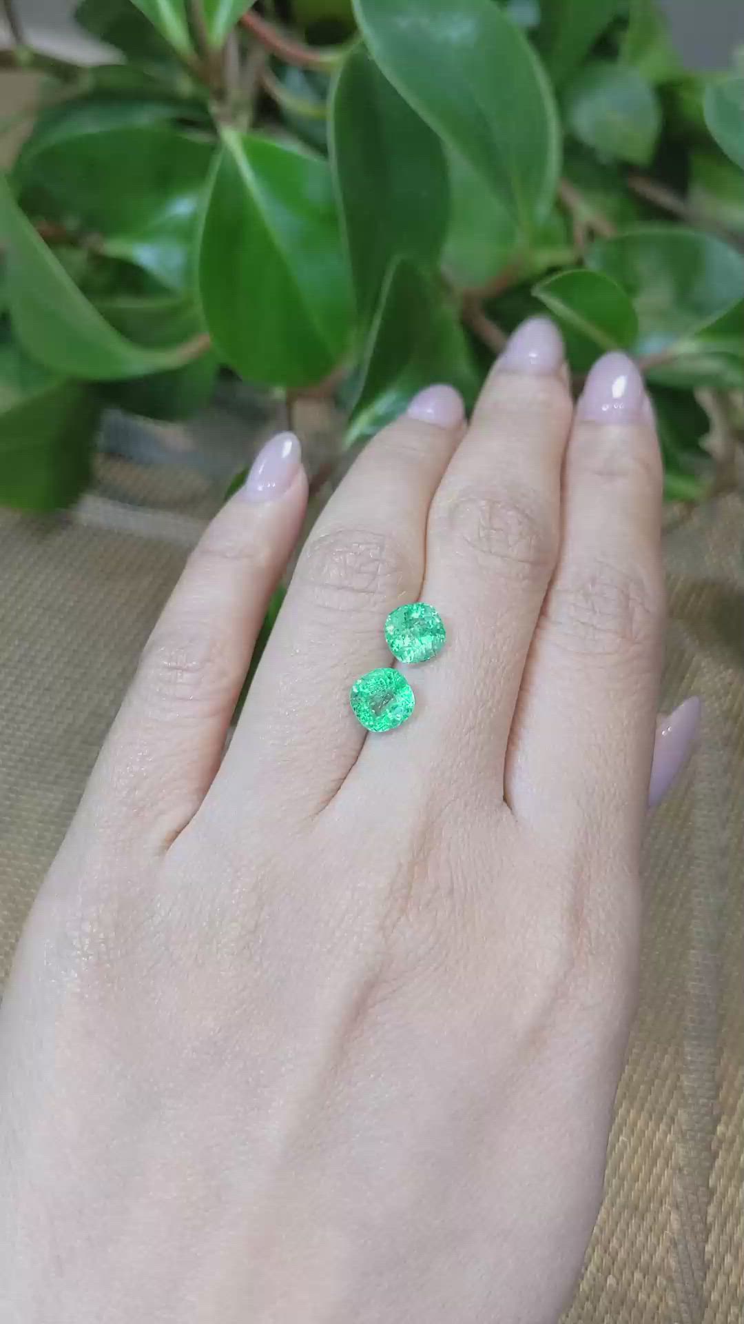 3.07&nbsp;Ct.Tw.Total Carat Weight Emerald Pair from Colombia Size Video