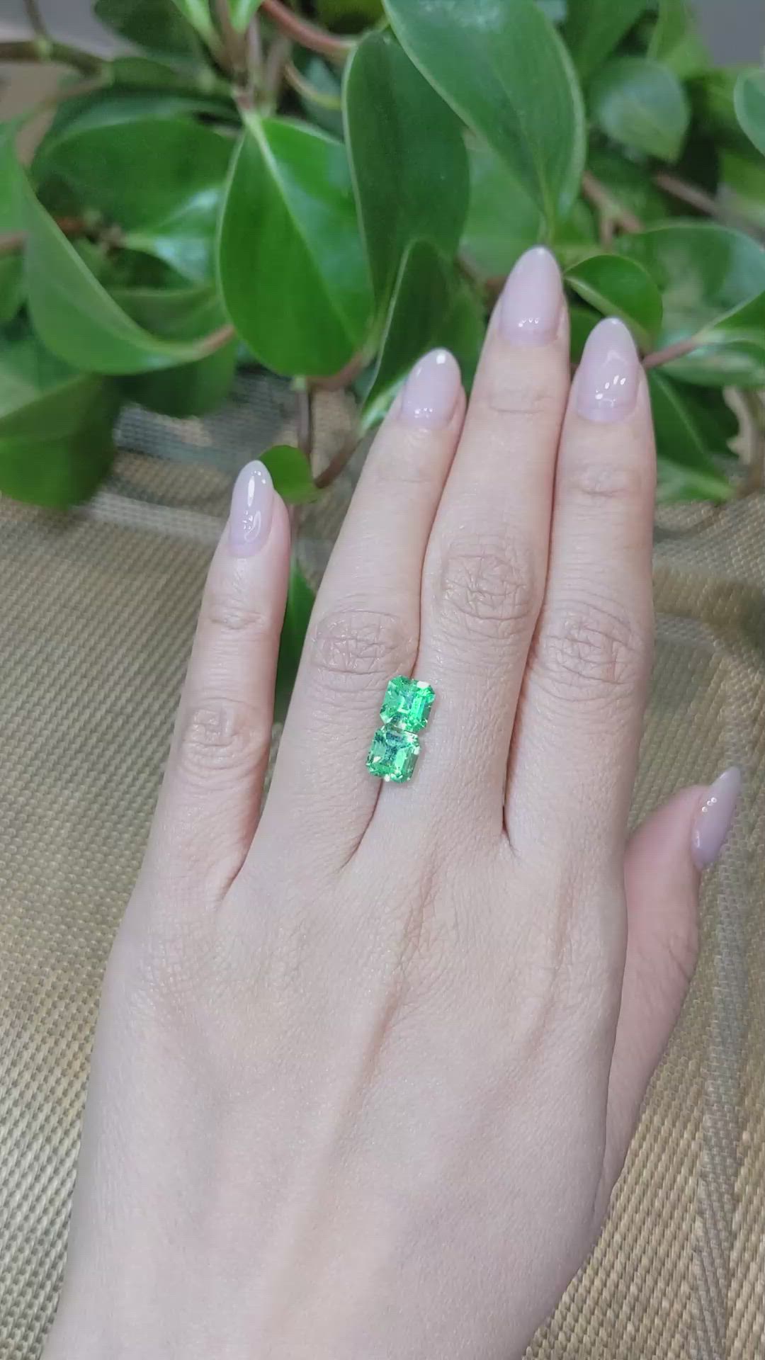 2.73&nbsp;Ct.Tw.Total Carat Weight Emerald Pair from Colombia Size Video
