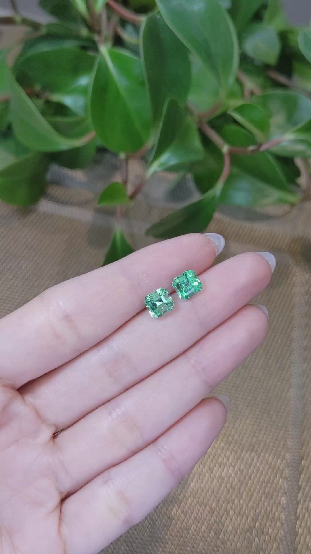 2.73&nbsp;Ct.Tw.Total Carat Weight Emerald Pair from Colombia Size Video