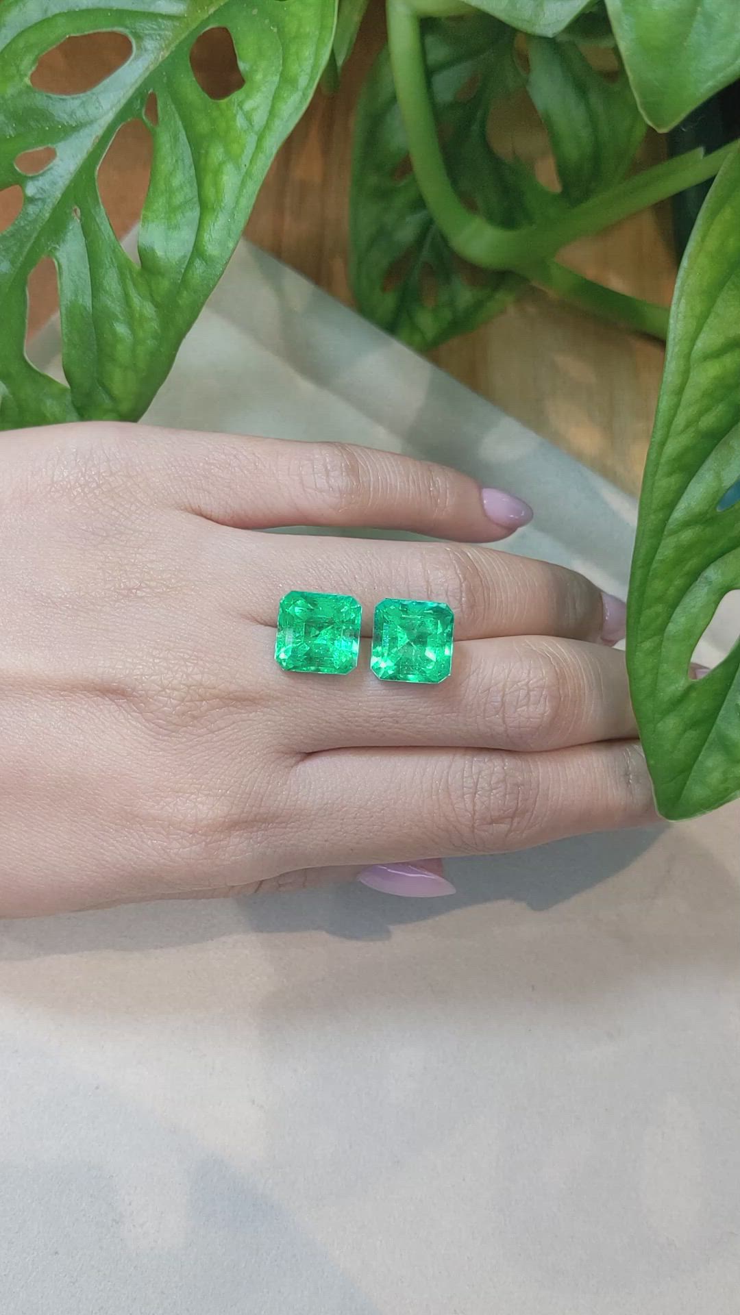 13.45 Ct.Tw.Total Carat Weight Emerald Pair from Colombia Size Video