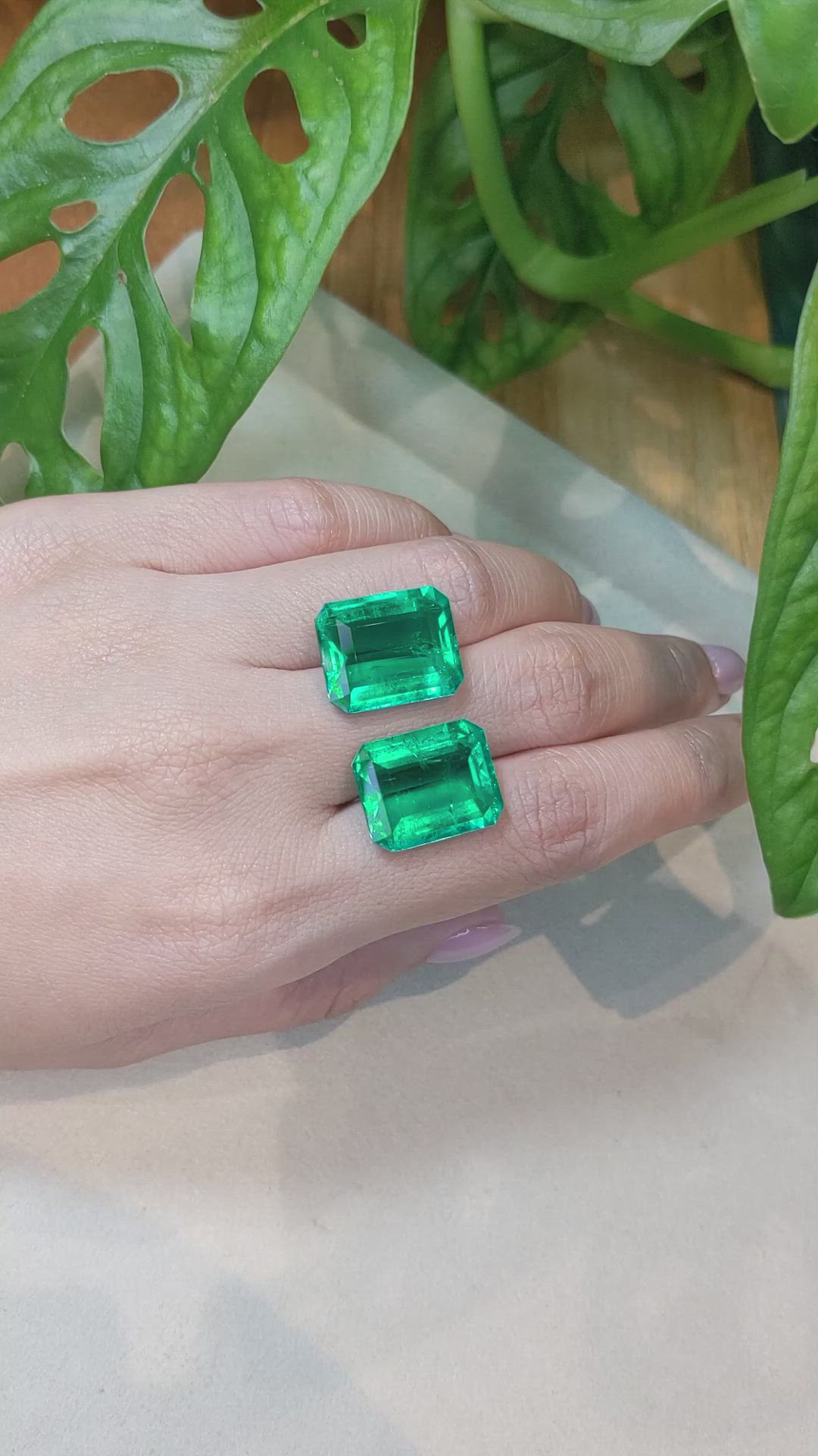 26.98&nbsp;Ct.Tw.Total Carat Weight Emerald Pair from Colombia Size Video