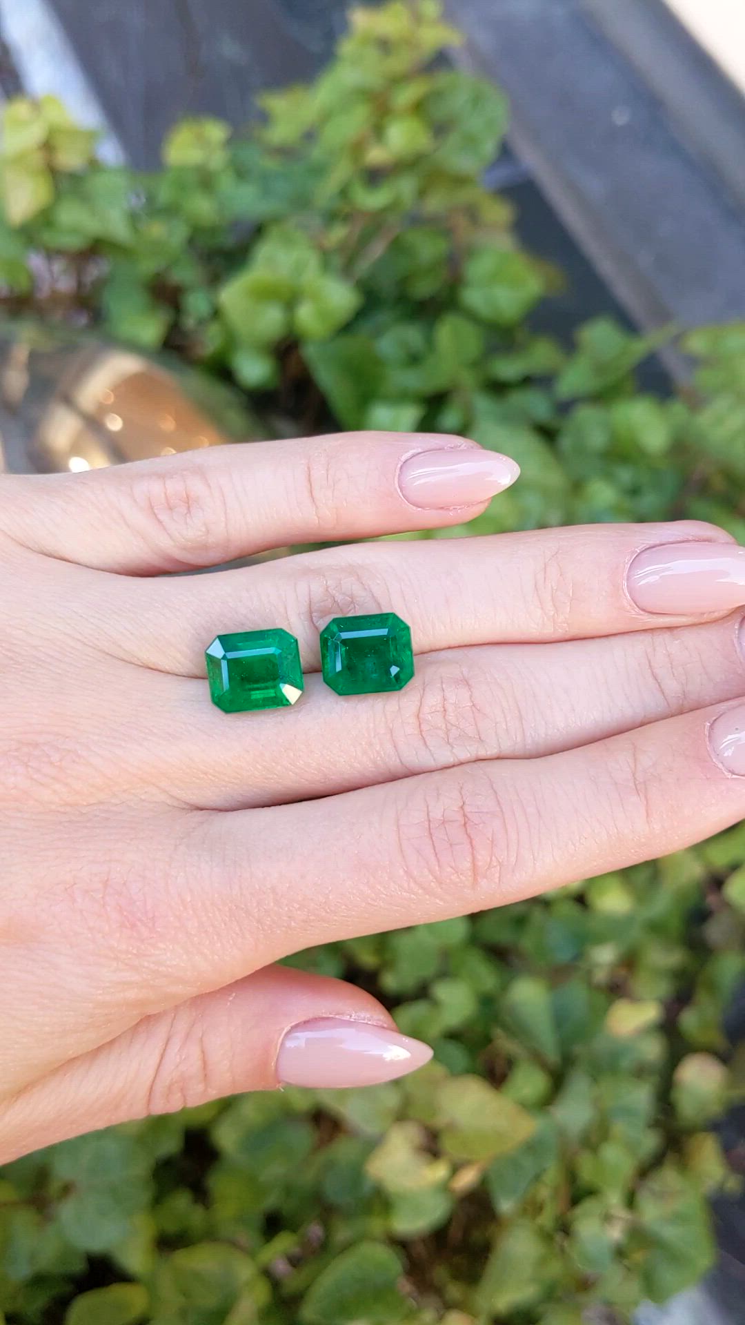 10.49 Ct.Tw.Total Carat Weight Emerald Pair from Zambia Size Video