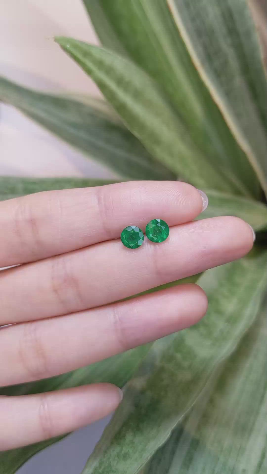 1.62 Ct.Tw.Total Carat Weight Emerald Pair from Zambia Size Video