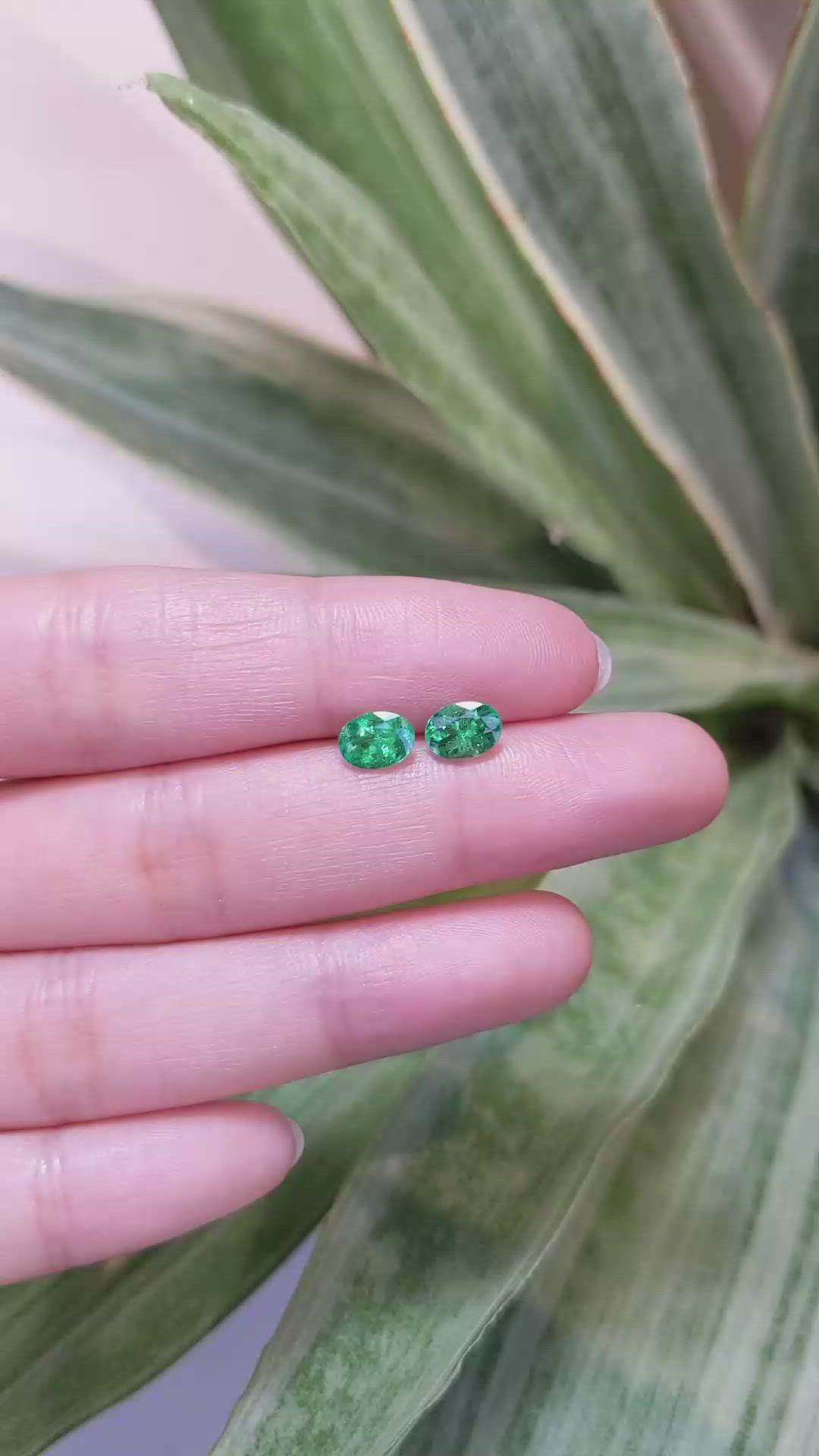 1.29 Ct.Tw.Total Carat Weight Emerald Pair from Zambia Size Video