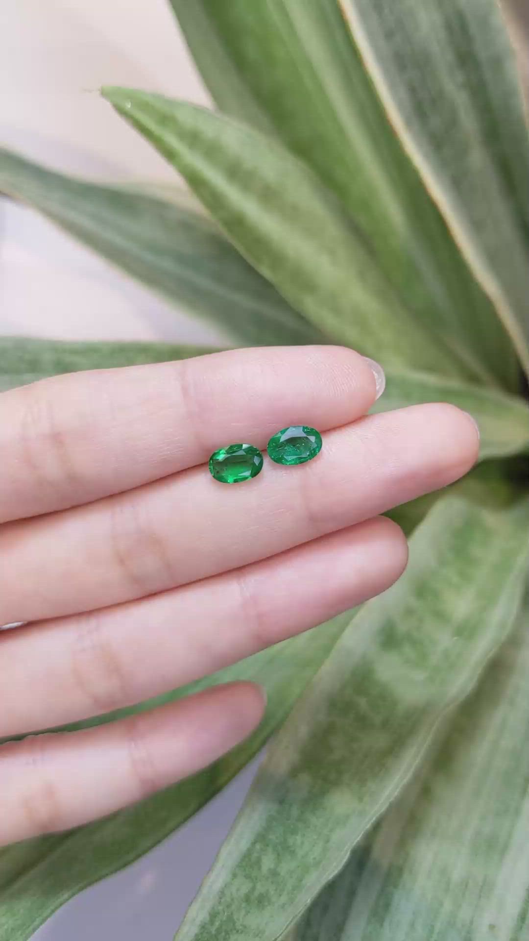 1.66 Ct.Tw.Total Carat Weight Emerald Pair from Zambia Size Video