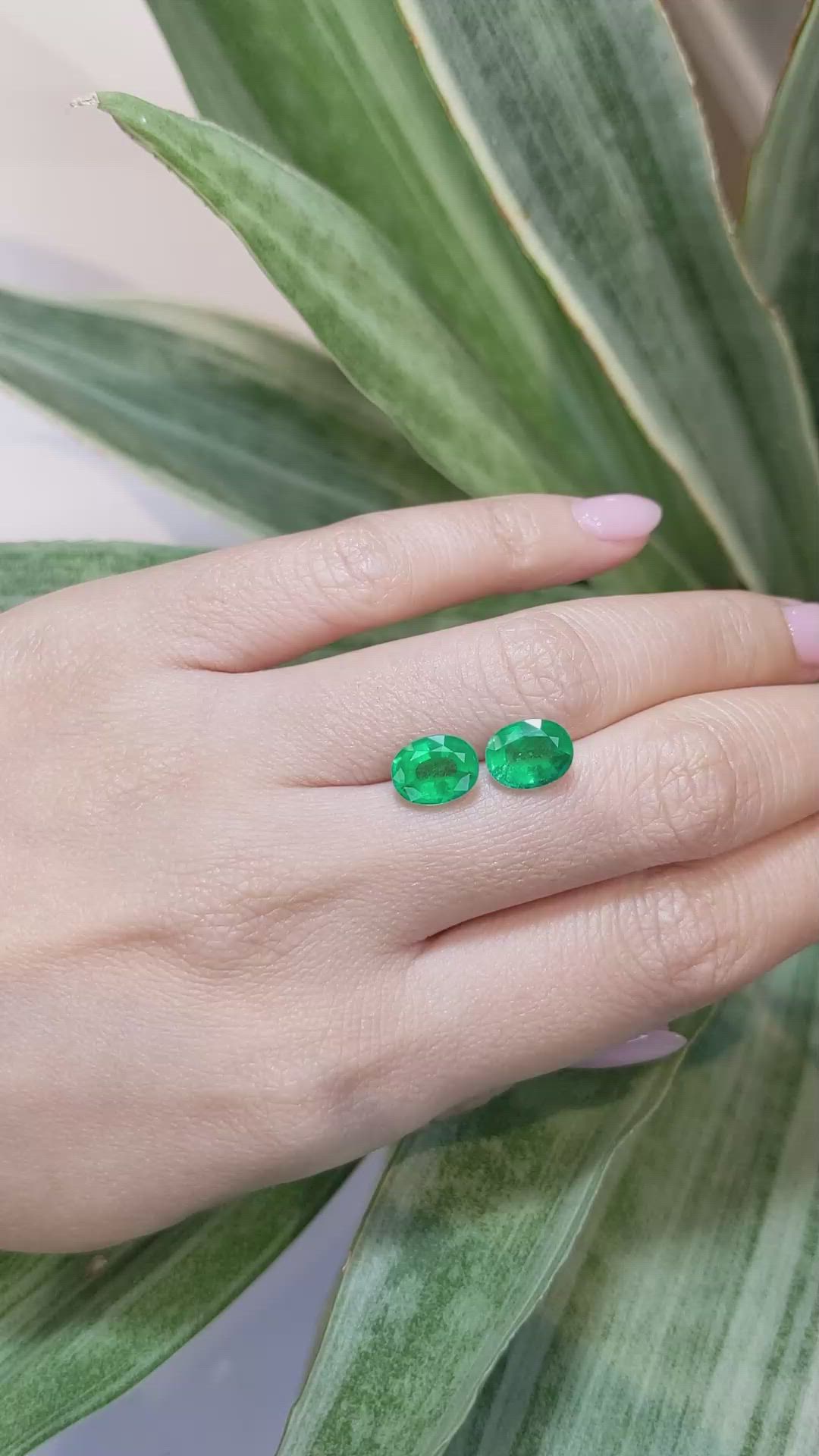 3.74 Ct.Tw.Total Carat Weight Emerald Pair from Zambia Size Video