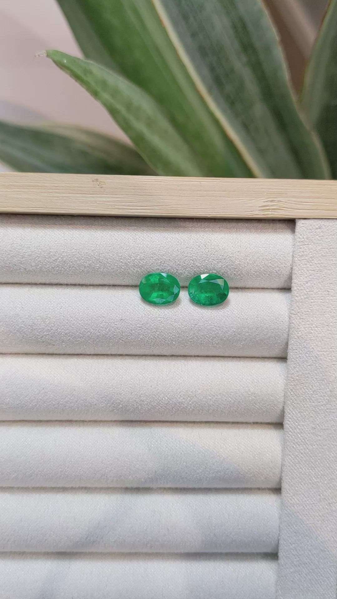3.74 Ct.Tw.Total Carat Weight Emerald Pair from Zambia Size Video