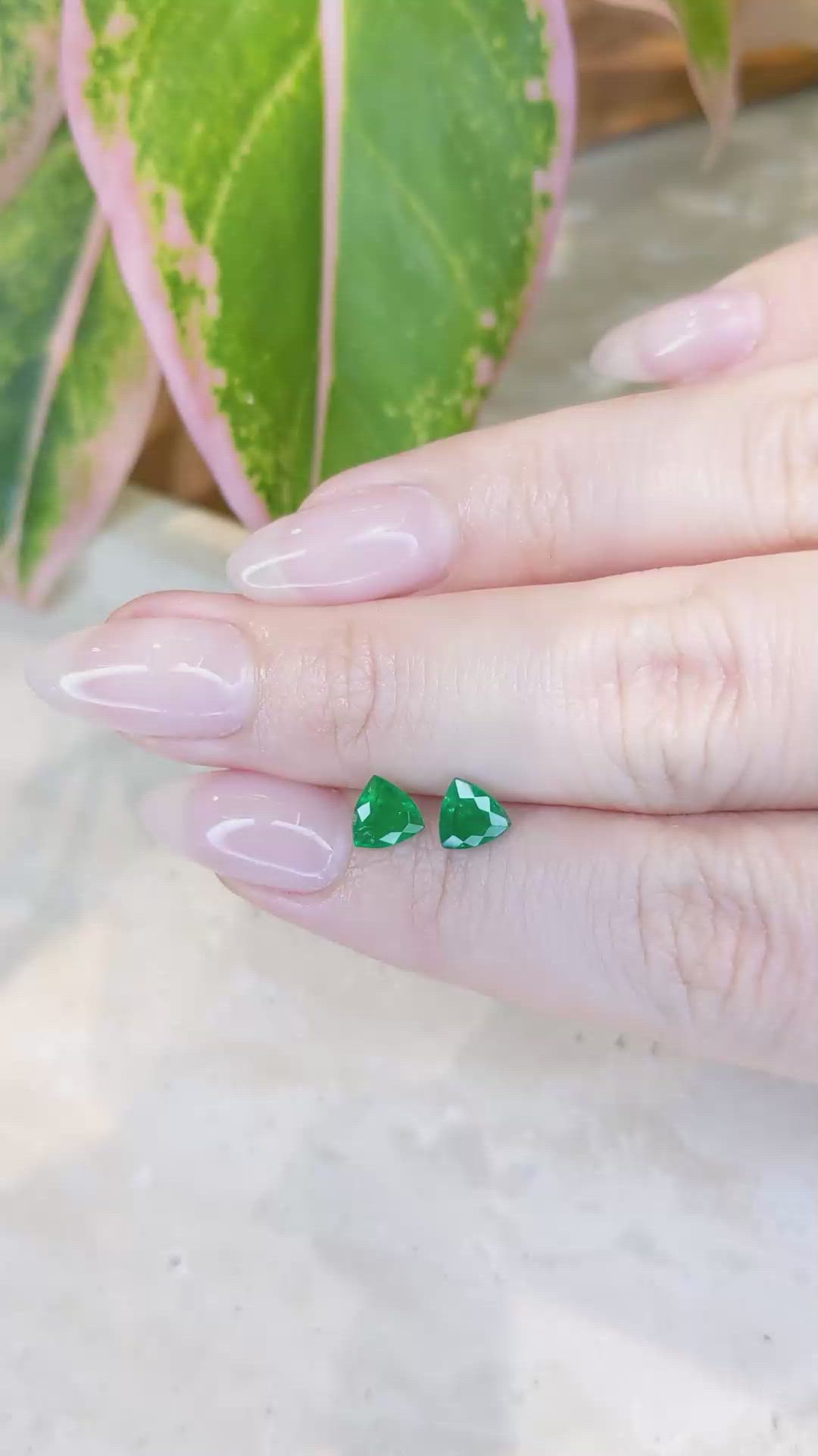 1.08 Ct.Tw.Total Carat Weight Emerald Pair from Zambia Size Video