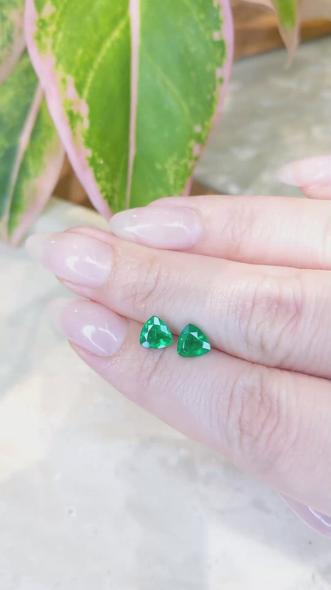 1.56 Ct.Tw.Total Carat Weight Emerald Pair from Zambia Size Video