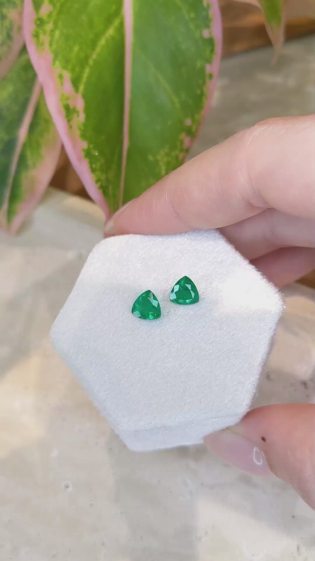 1.56 Ct.Tw.Total Carat Weight Emerald Pair from Zambia Size Video