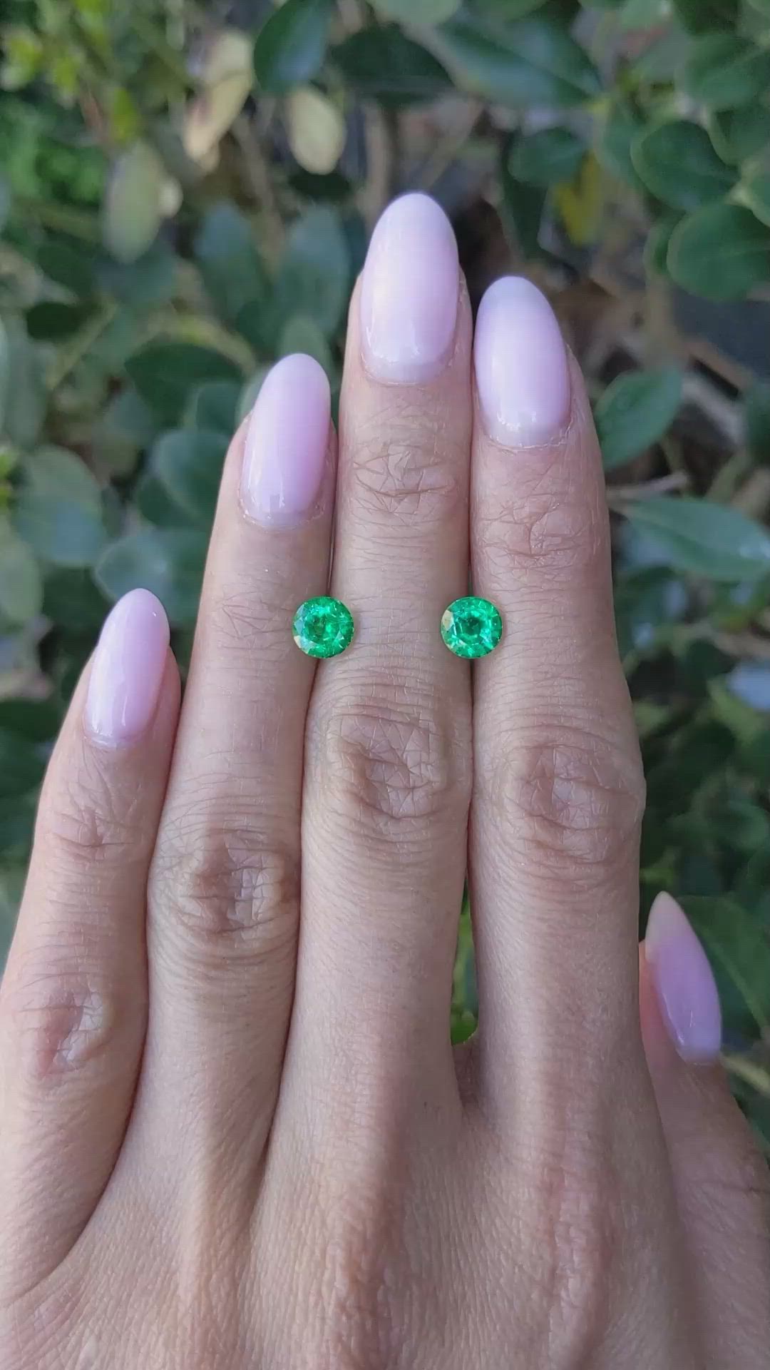 1.55&nbsp;Ct.Tw.Total Carat Weight Emerald Pair from Zambia Size Video