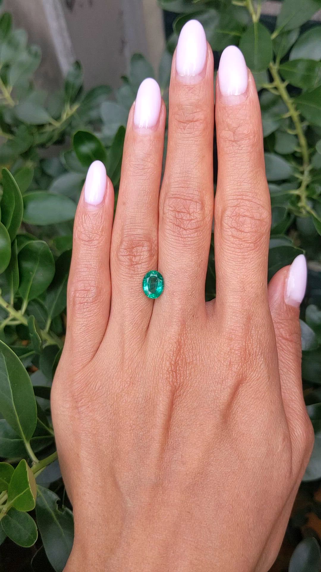 1.52 Ct. Emerald from Zambia Size Video
