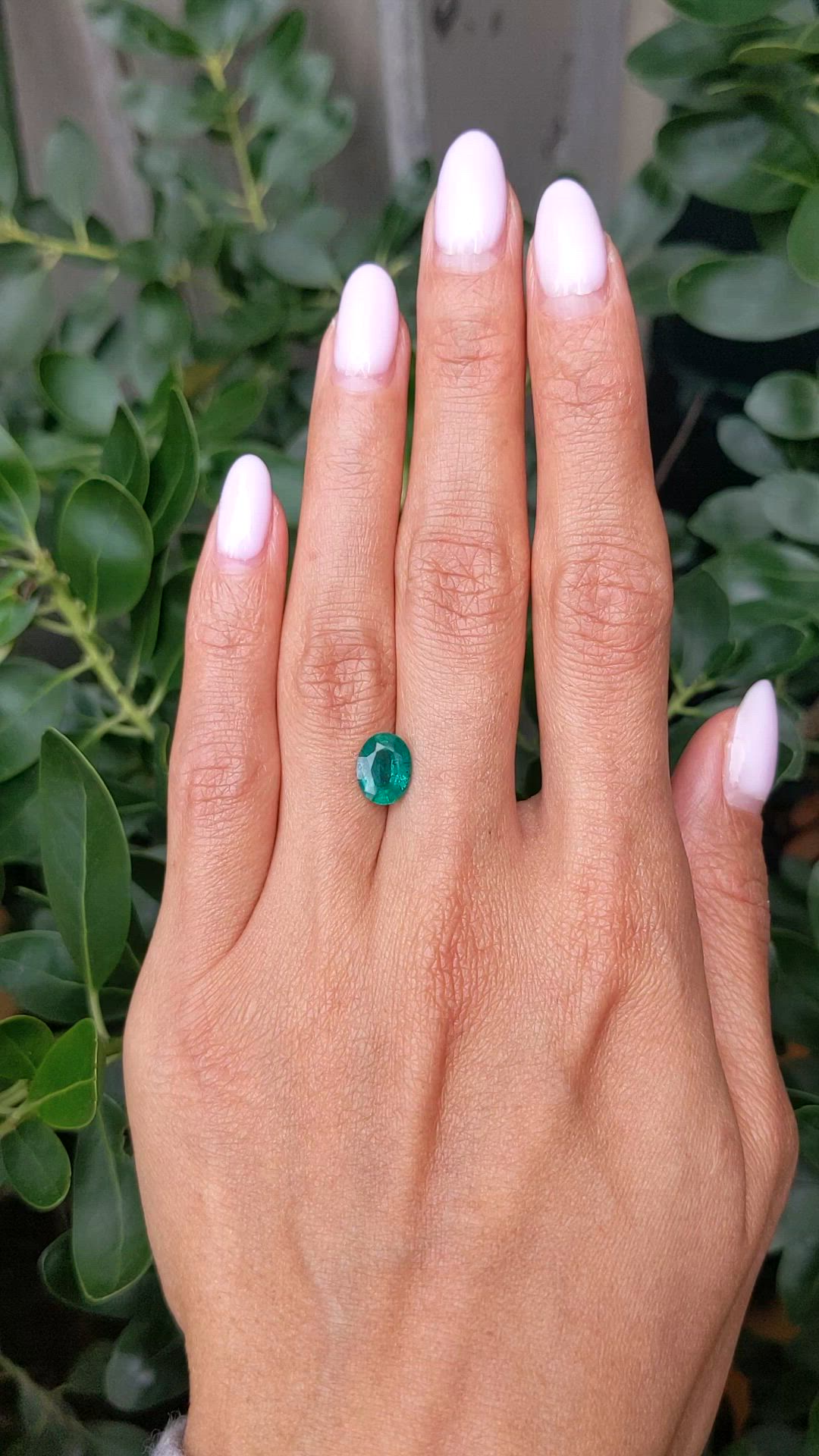 1.58 Ct. Emerald from Zambia Size Video